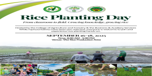 𝐔𝐍𝐈𝐕𝐄𝐑𝐒𝐈𝐓𝐘  𝐁𝐔𝐋𝐋𝐄𝐓𝐈𝐍 | 𝐂𝐨𝐥𝐥𝐞𝐠𝐞 𝐨𝐟 𝐀𝐠𝐫𝐢𝐜𝐮𝐥𝐭𝐮𝐫𝐞 𝐚𝐧𝐝 𝐅𝐨𝐫𝐞𝐬𝐭𝐫𝐲 (𝐂𝐀𝐅) 𝐚𝐧𝐝 𝐁𝐮𝐬𝐢𝐧𝐞𝐬𝐬 𝐚𝐧𝐝 𝐀𝐮𝐱𝐢𝐥𝐢𝐚𝐫𝐲 𝐒𝐞𝐫𝐯𝐢𝐜𝐞𝐬 (𝐁𝐀𝐒) 𝐎𝐟𝐟𝐢𝐜𝐞 - Rice Planting