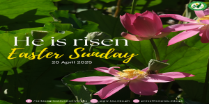 𝐔𝐍𝐈𝐕𝐄𝐑𝐒𝐈𝐓𝐘 𝐁𝐔𝐋𝐋𝐄𝐓𝐈𝐍 | 𝐓𝐚𝐫𝐥𝐚𝐜 𝐀𝐠𝐫𝐢𝐜𝐮𝐥𝐭𝐮𝐫𝐚𝐥 𝐔𝐧𝐢𝐯𝐞𝐫𝐬𝐢𝐭𝐲 (𝐓𝐀𝐔)